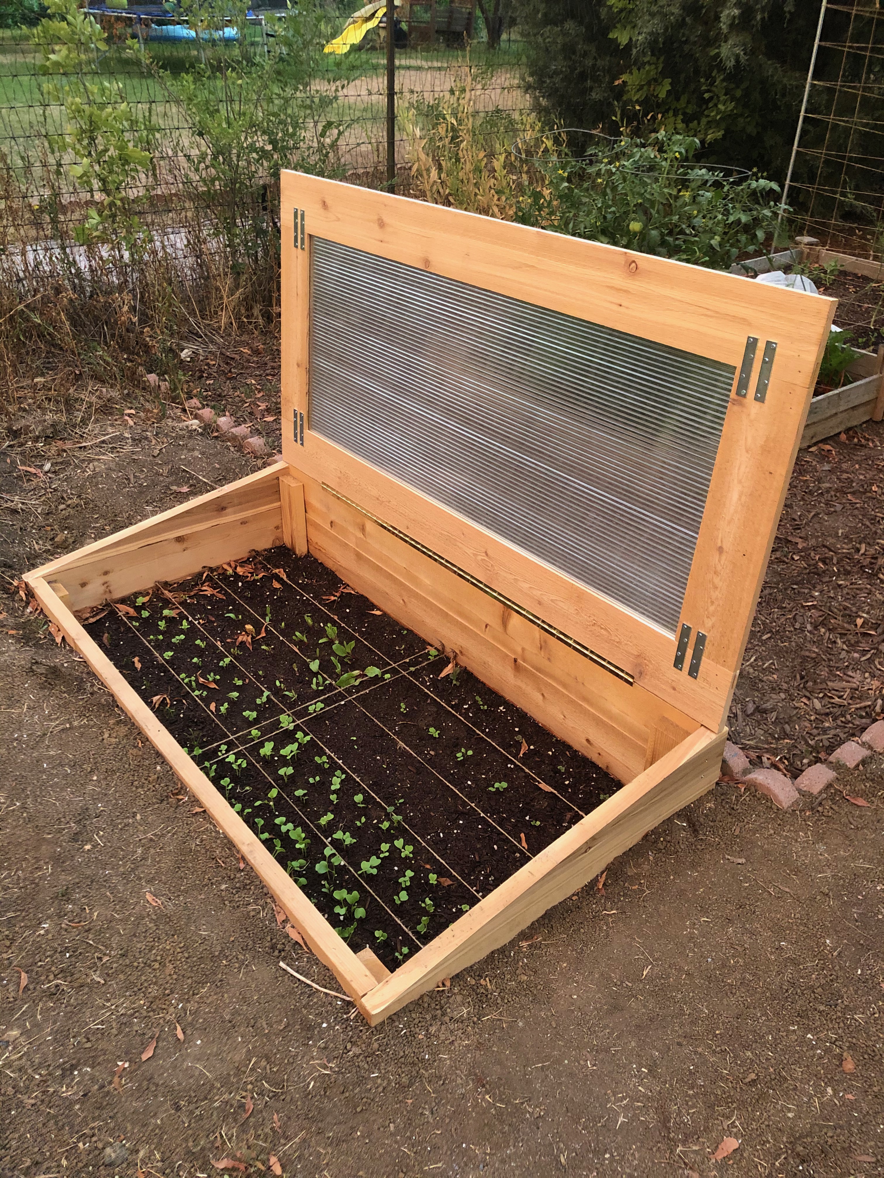 cold frame open